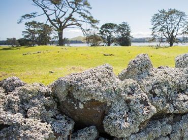 Otuataua Stonefields Historic Reserve